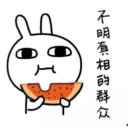 娱乐吃瓜酱隐形式单身,隐形式单身背后的故事